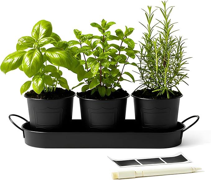 DIVCHI Metal Herb Planter Pots Set of 3 with Tray & Chalk Labels – Indoor Herb Garden Kit for Kitchen Windowsill – Decorative Herb Pots for Basil, Mint, Rosemary – Indoor & Outdoor Use (Black)
