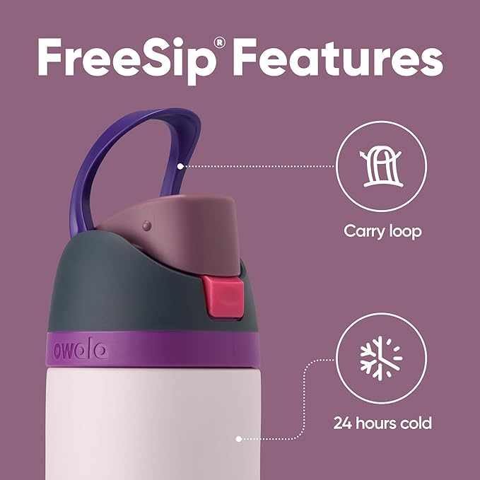 Owala FreeSip Insulated Stainless Steel Water Bottle with Straw for Sports and Travel, Leak Proof, BPA-Free, 710ml, Dreamy Field