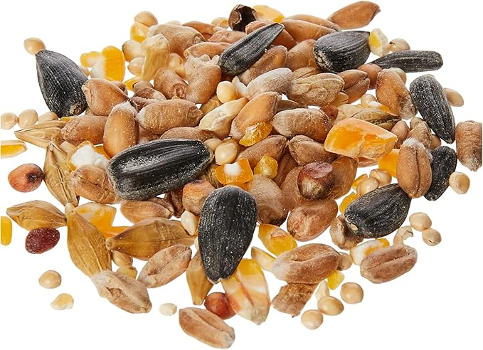 Extra Select Seed Mix Wild Bird Food, 5 Litre (Package may vary)