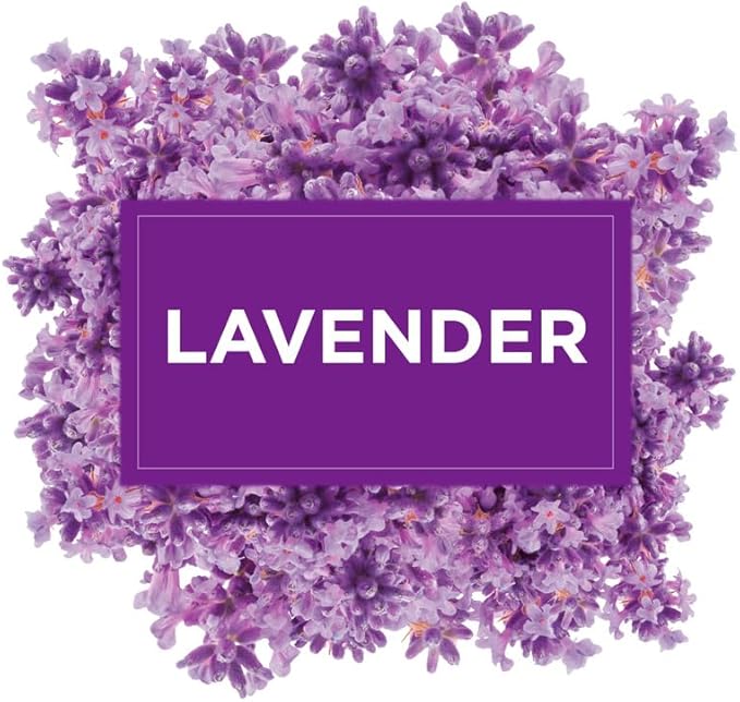 Glade Solid Gel Air Freshener, Odour Eliminator for Home & Bathroom, Lavender, Pack of 8 (8 x 150g)